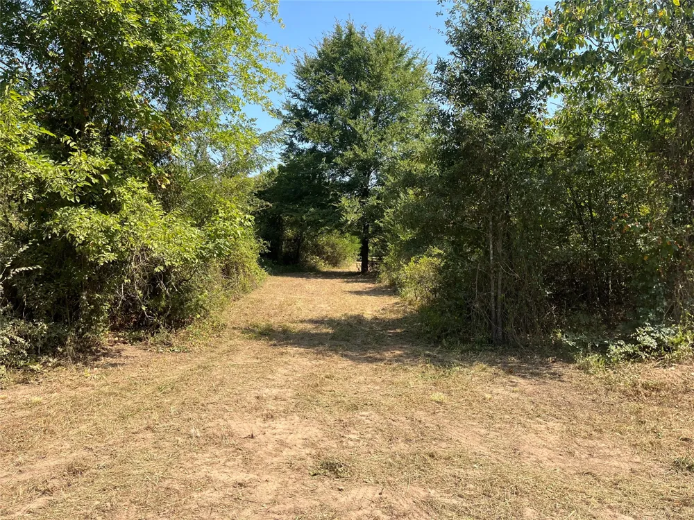 CR 2374 Detroit, TX 75436