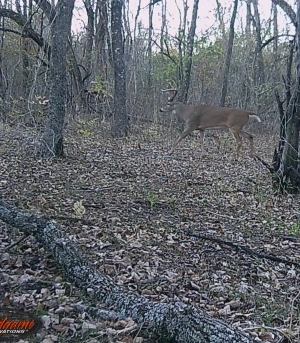 CR 2374 Detroit, TX 75436