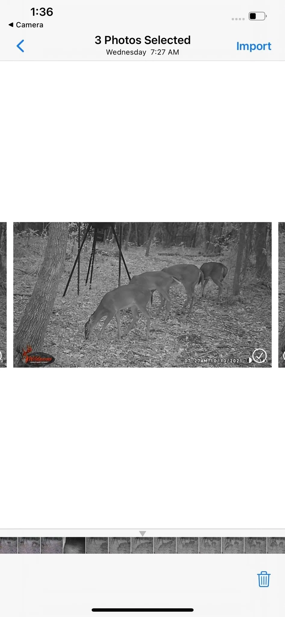 CR 2374 Detroit, TX 75436