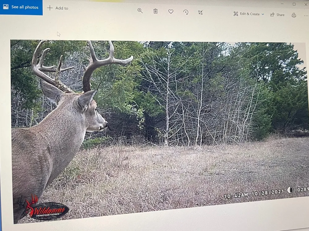 CR 2374 Detroit, TX 75436