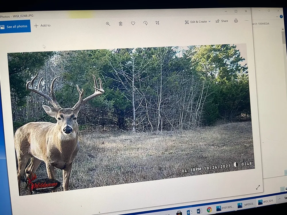 CR 2374 Detroit, TX 75436