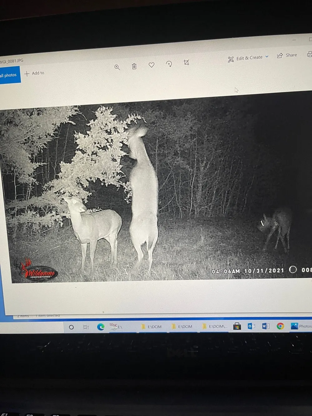 CR 2374 Detroit, TX 75436