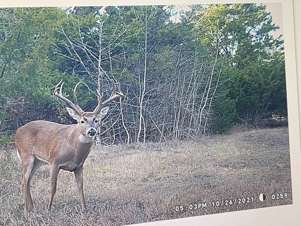 CR 2374 Detroit, TX 75436