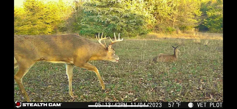 CR 2374 Detroit, TX 75436