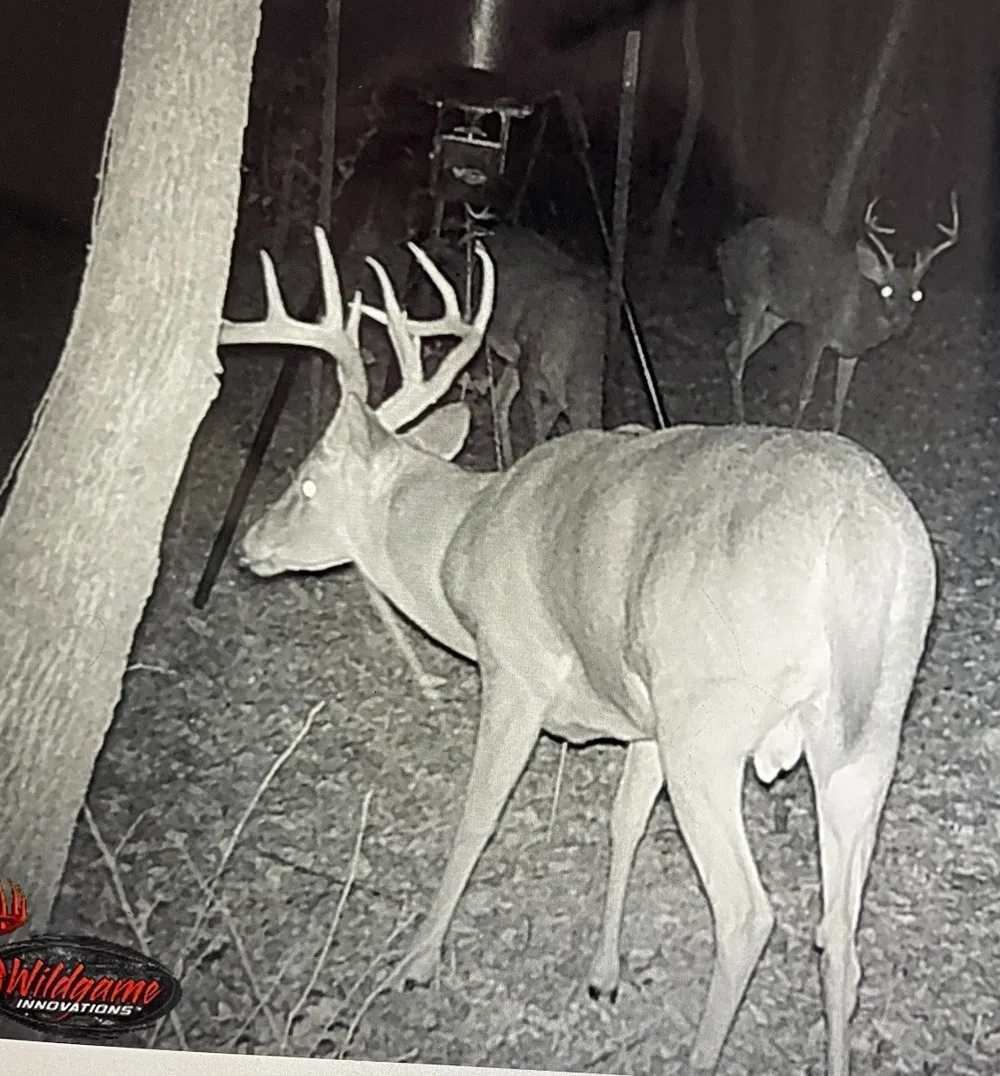 CR 2374 Detroit, TX 75436