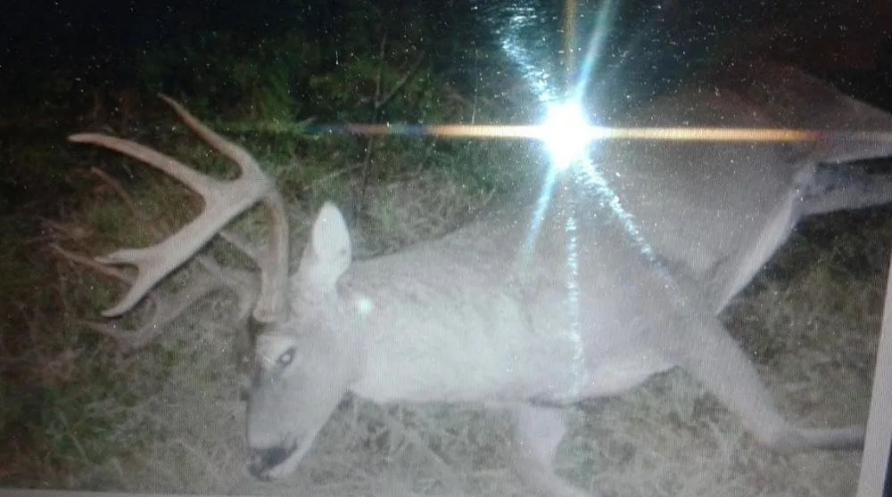 CR 2374 Detroit, TX 75436