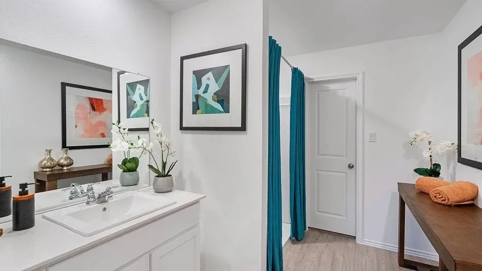 222 Streaking Star Drive Hutto, TX 78634