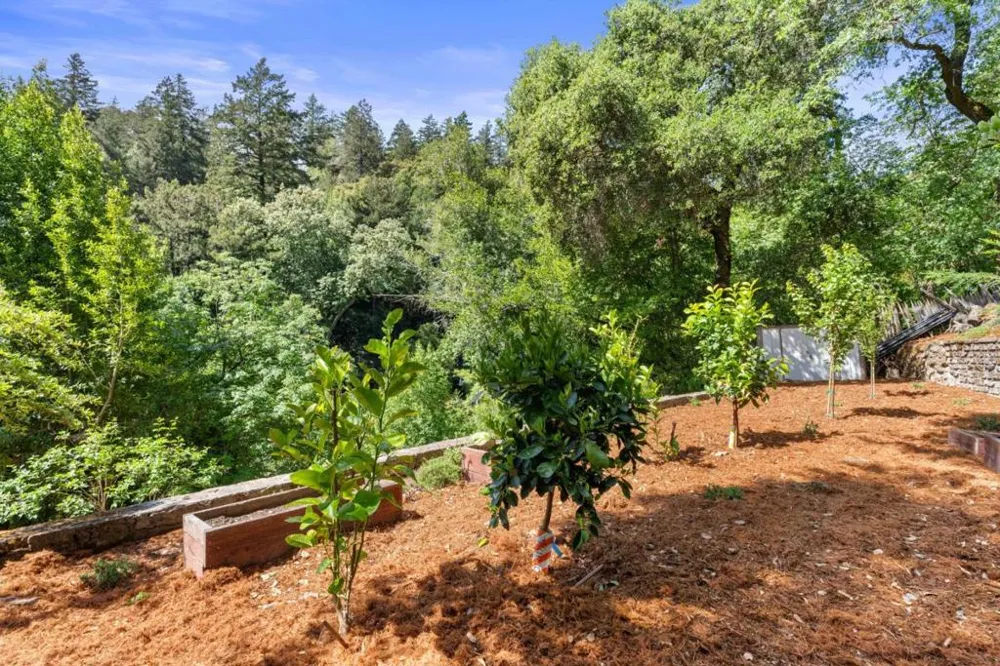 19060 Laurel Drive Los Gatos, CA 95033