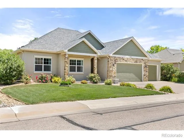 5514 Flamboro Drive Windsor, CO 80550