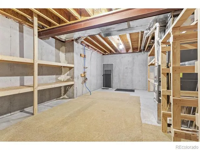 5514 Flamboro Drive Windsor, CO 80550