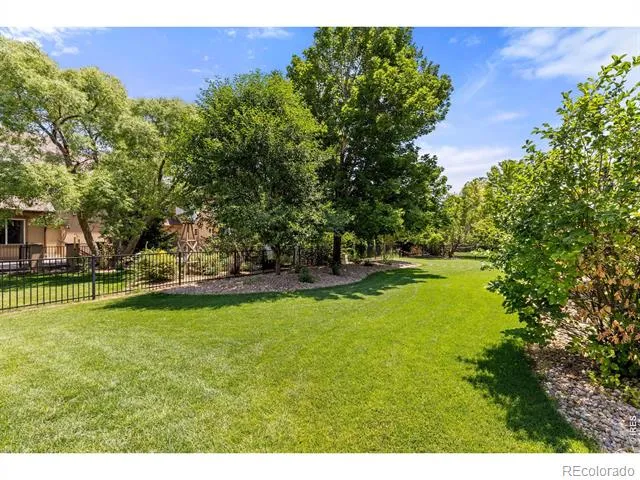 5514 Flamboro Drive Windsor, CO 80550