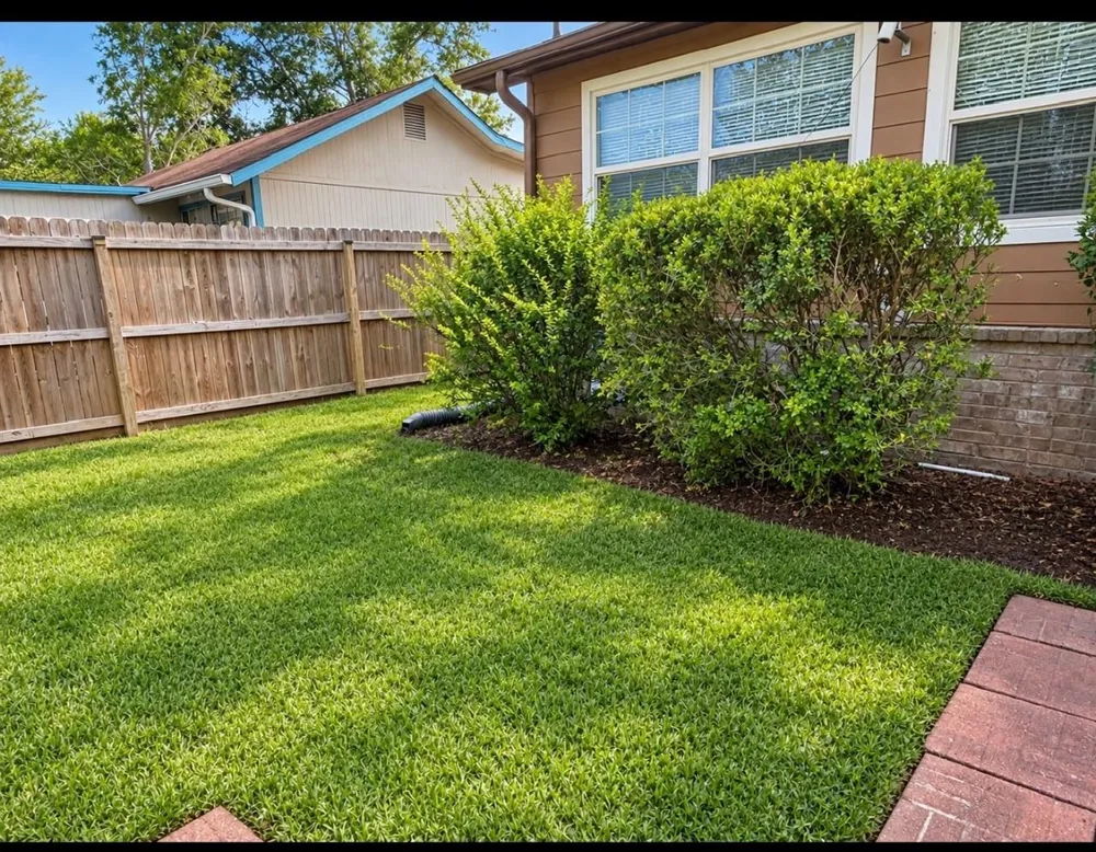 231 Pine Shadows Drive Livingston, TX 77351
