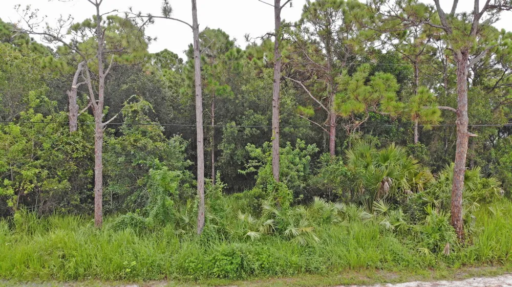 Shanas Trail Fort Pierce, FL 34952