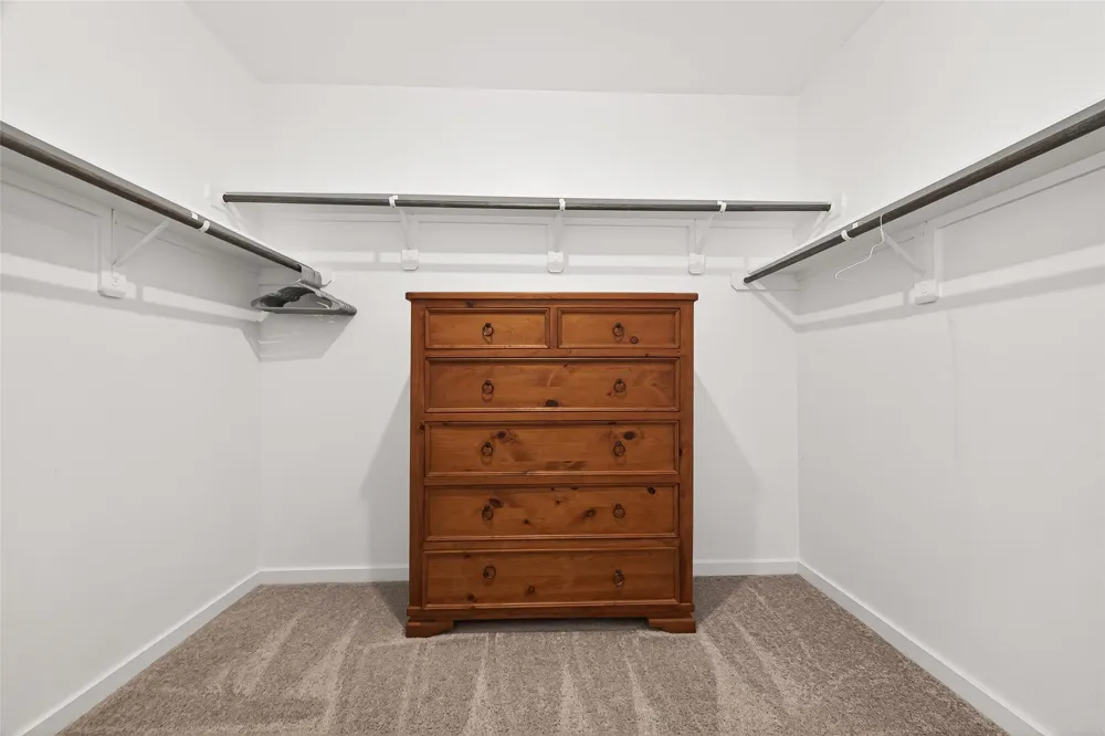 17681 Tree Of Heaven Conroe, TX 77385