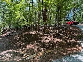 00 Johnson Circle Lake Lure, NC 28746