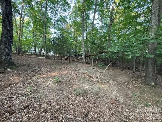 00 Johnson Circle Lake Lure, NC 28746
