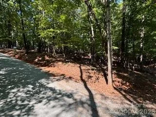 00 Johnson Circle Lake Lure, NC 28746