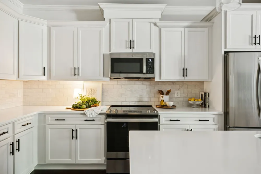 3149 Sassafras Ln Thompsons Station, TN 37179