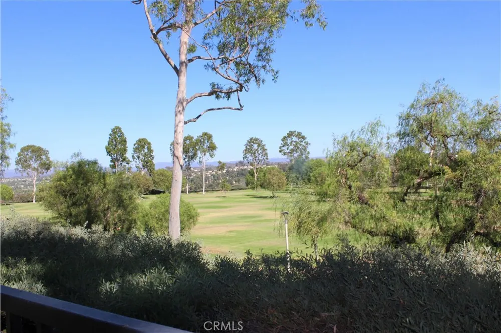 26452 La Scala Laguna Hills, CA 92653