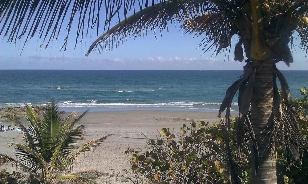11 SW 4TH AVENUE #1 Boca Raton, FL 33432
