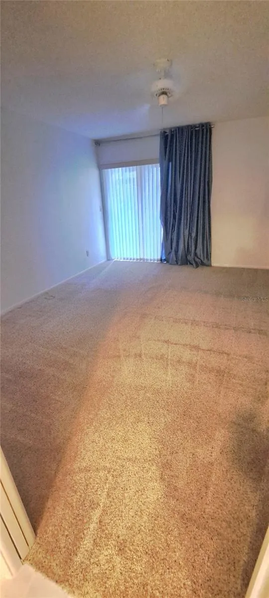 60 KAY COURT Oldsmar, FL 34677