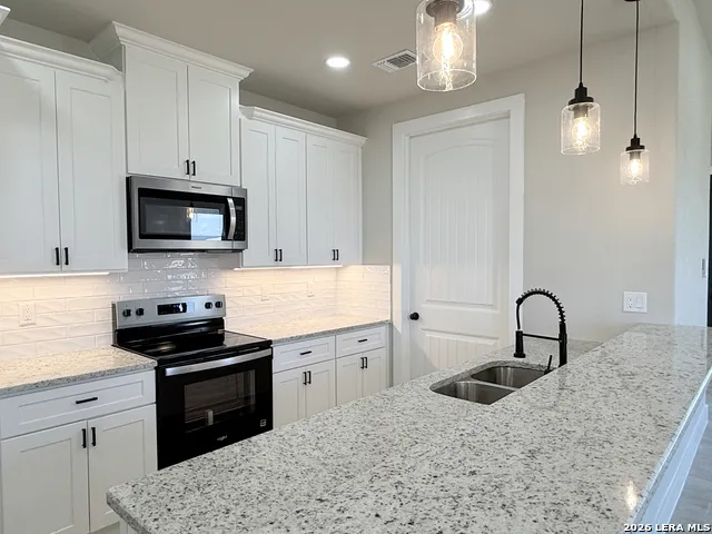 125 Camino Verde Ct La Vernia, TX 78121