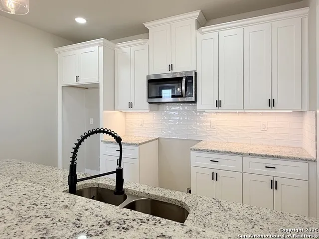 125 Camino Verde Ct La Vernia, TX 78121