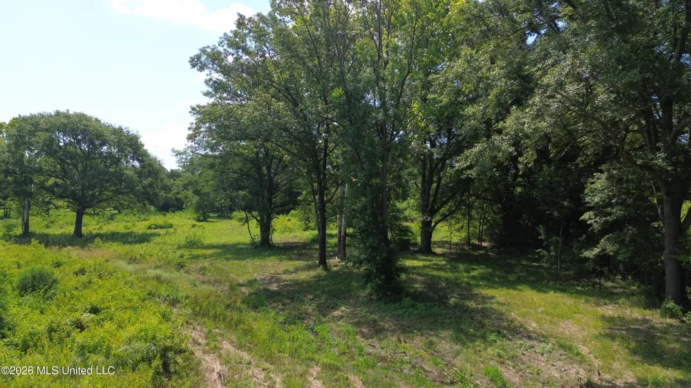 U.s. Highway 51 Gluckstadt, MS 39110