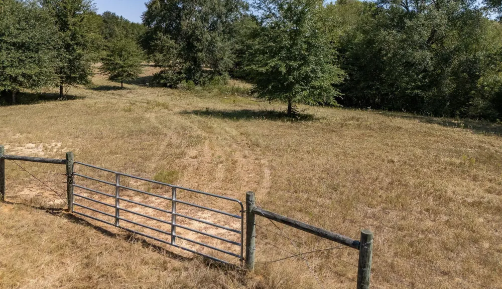 County Road 320 Centerville, TX 75833