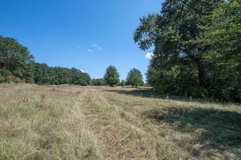 County Road 320 Centerville, TX 75833