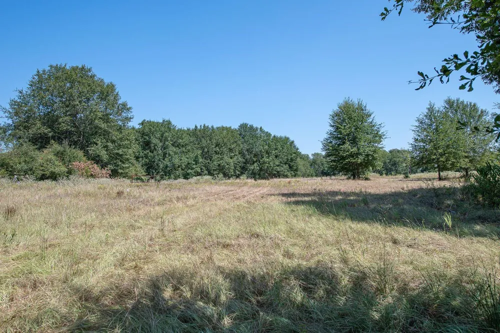 County Road 320 Centerville, TX 75833