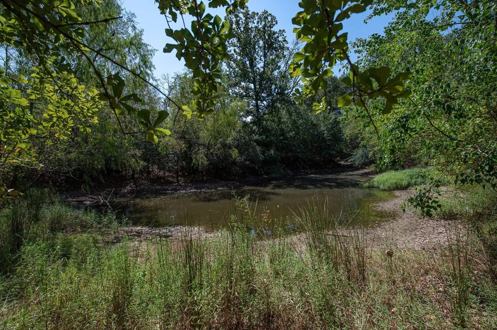 County Road 320 Centerville, TX 75833