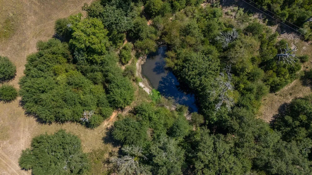 County Road 320 Centerville, TX 75833