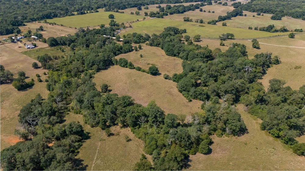 County Road 320 Centerville, TX 75833