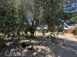 40915 161st E Lancaster, CA 93535