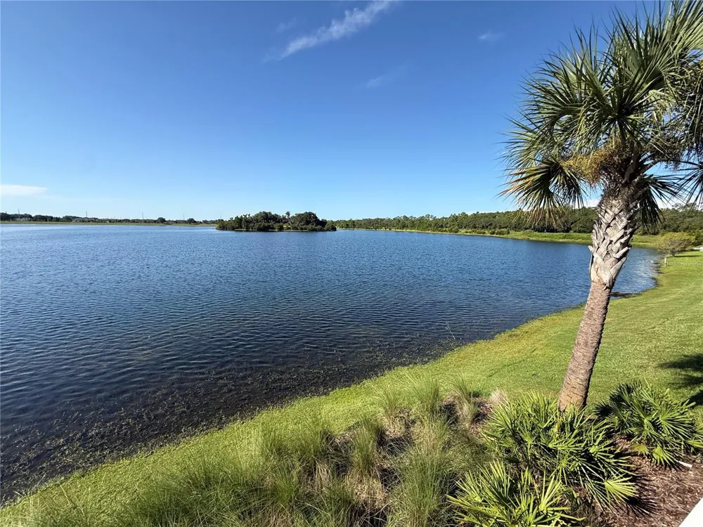 5607 RONIN DRIVE St Cloud, FL 34771