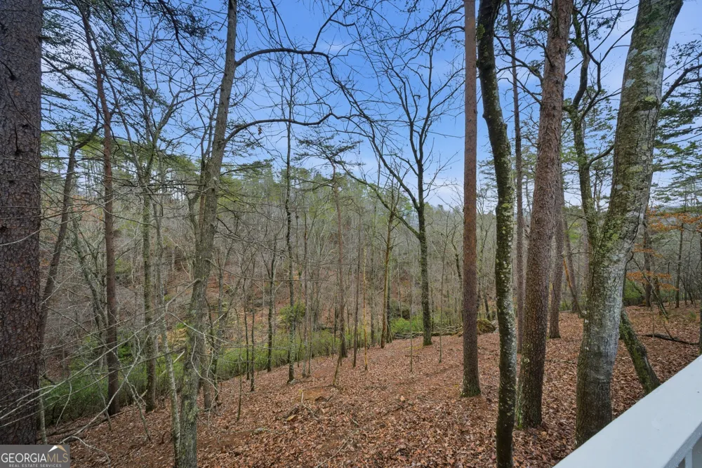 121 White Antelope ST Waleska, GA 30183