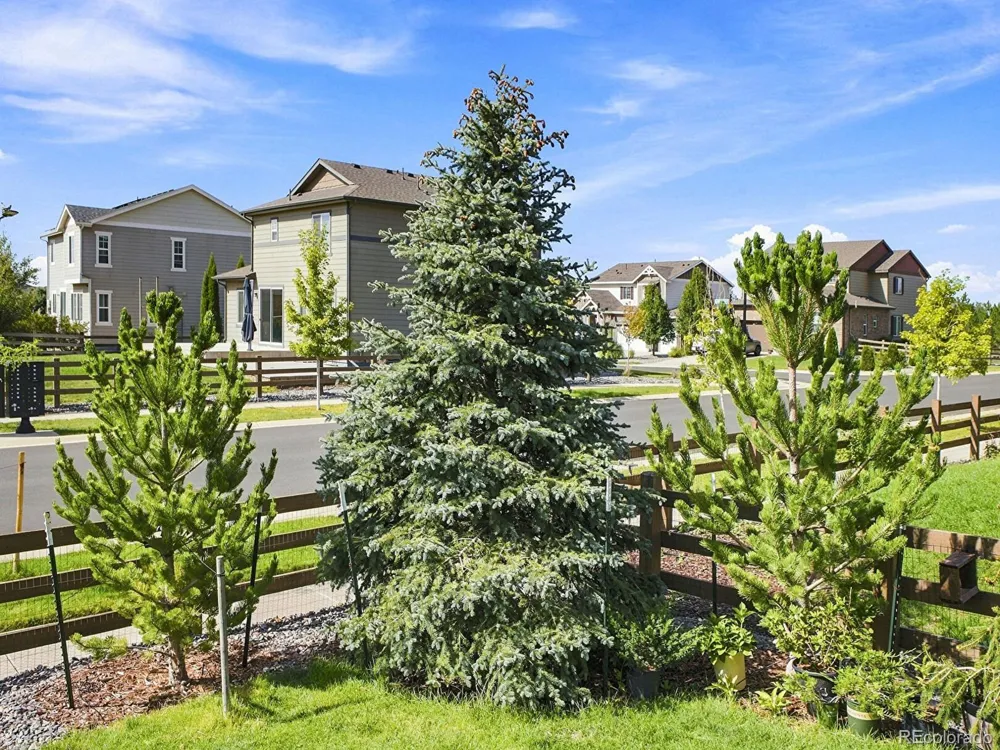 7266 S Robertsdale Way Aurora, CO 80016
