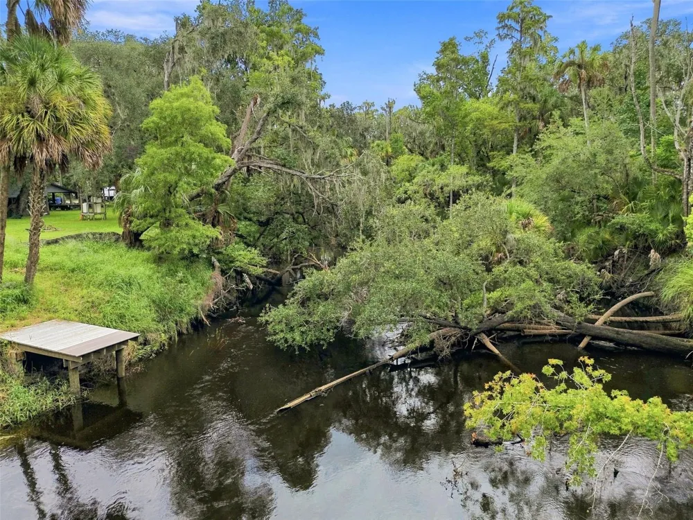 4506 SQUIRRELL RUN WAY Valrico, FL 33596