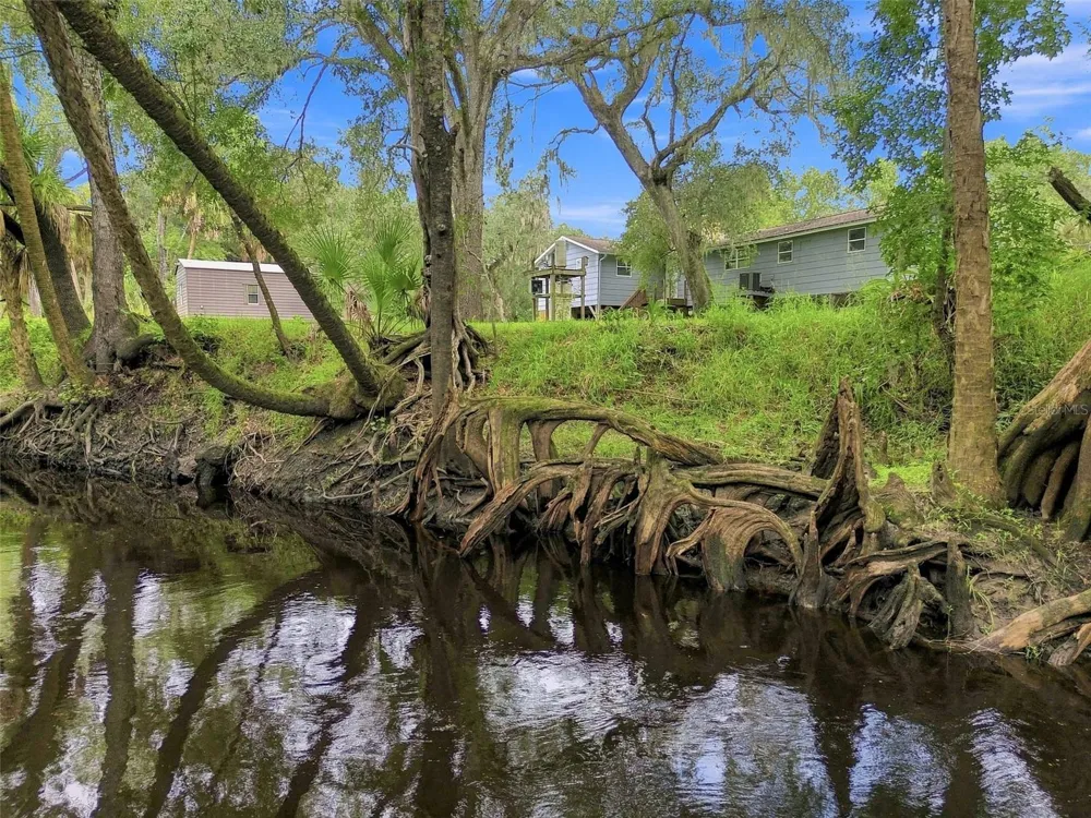 4506 SQUIRRELL RUN WAY Valrico, FL 33596