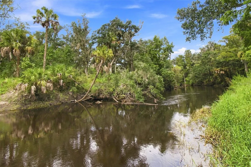 4506 SQUIRRELL RUN WAY Valrico, FL 33596