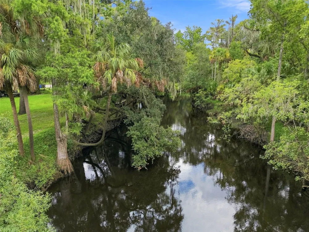4506 SQUIRRELL RUN WAY Valrico, FL 33596