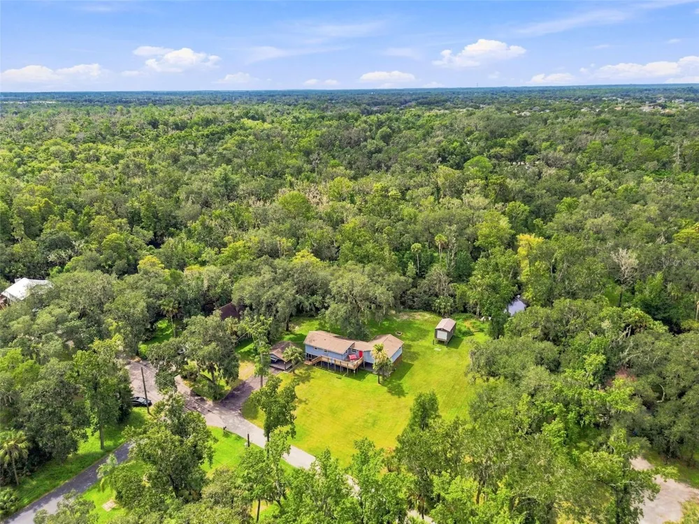 4506 SQUIRRELL RUN WAY Valrico, FL 33596