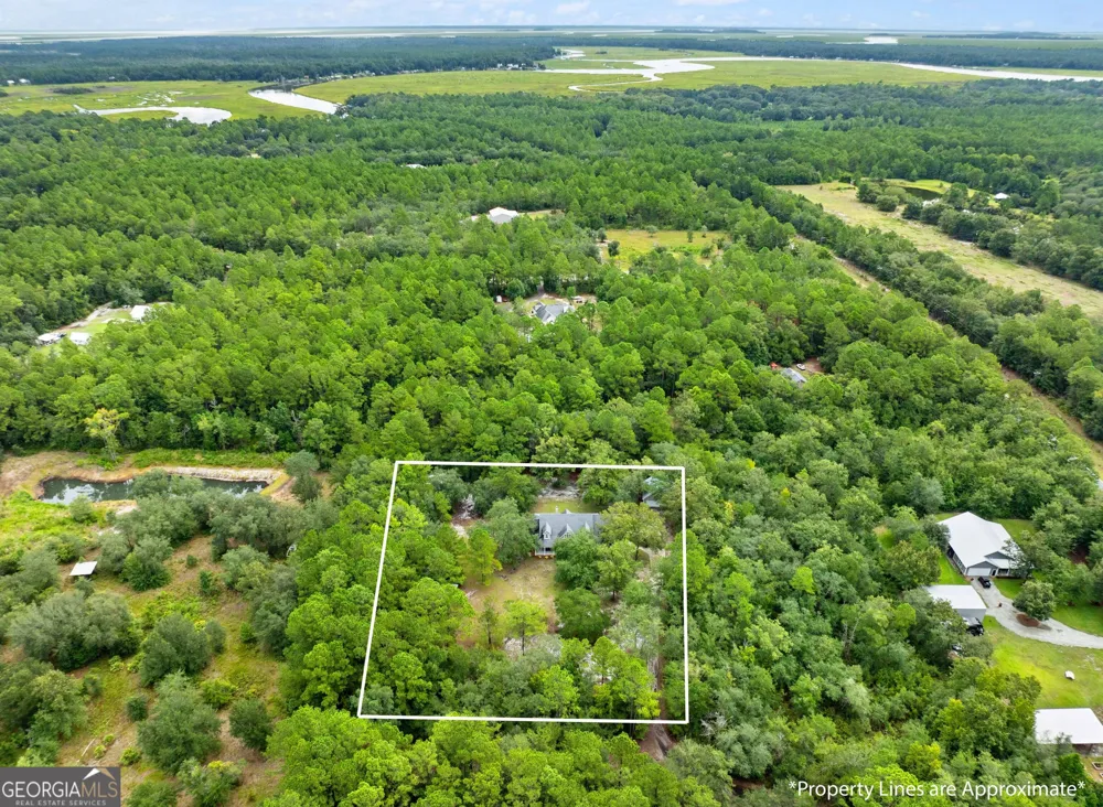 1194 Baileys Forrest RD NE Townsend, GA 31331
