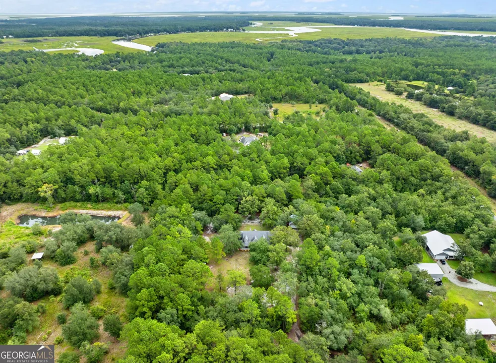 1194 Baileys Forrest RD NE Townsend, GA 31331
