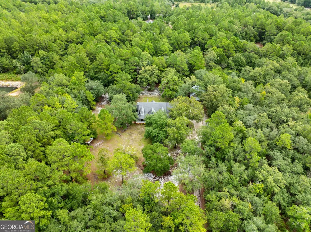 1194 Baileys Forrest RD NE Townsend, GA 31331