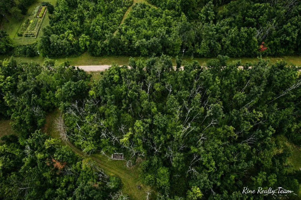 1385 Allard Acres Trail Albert Township, MI 49751