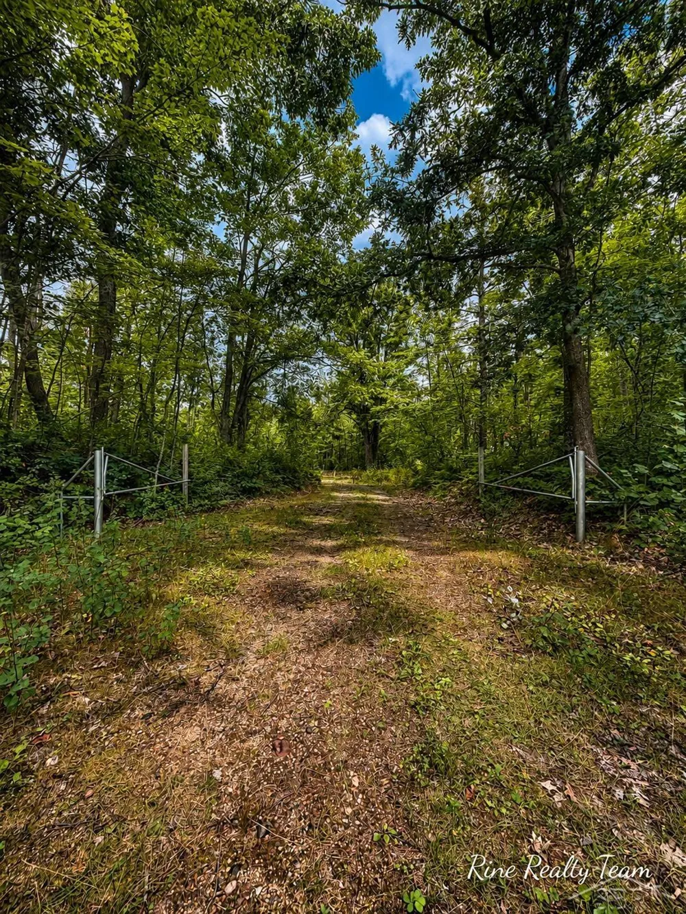 1385 Allard Acres Trail Albert Township, MI 49751