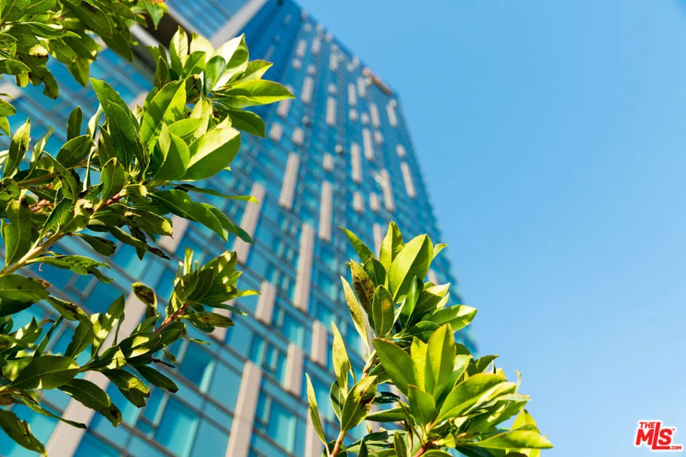 889 Francisco Street #807 Los Angeles, CA 90017