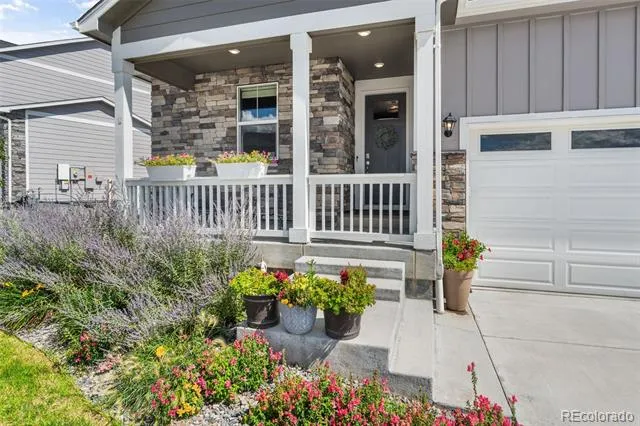 4664 Cattle Cross Trail Castle Rock, CO 80104
